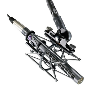Neumann KMR 81 i изображение/фото/картинка