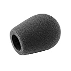 Neumann WNS 120