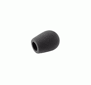 Neumann WNS 120 изображение/фото/картинка