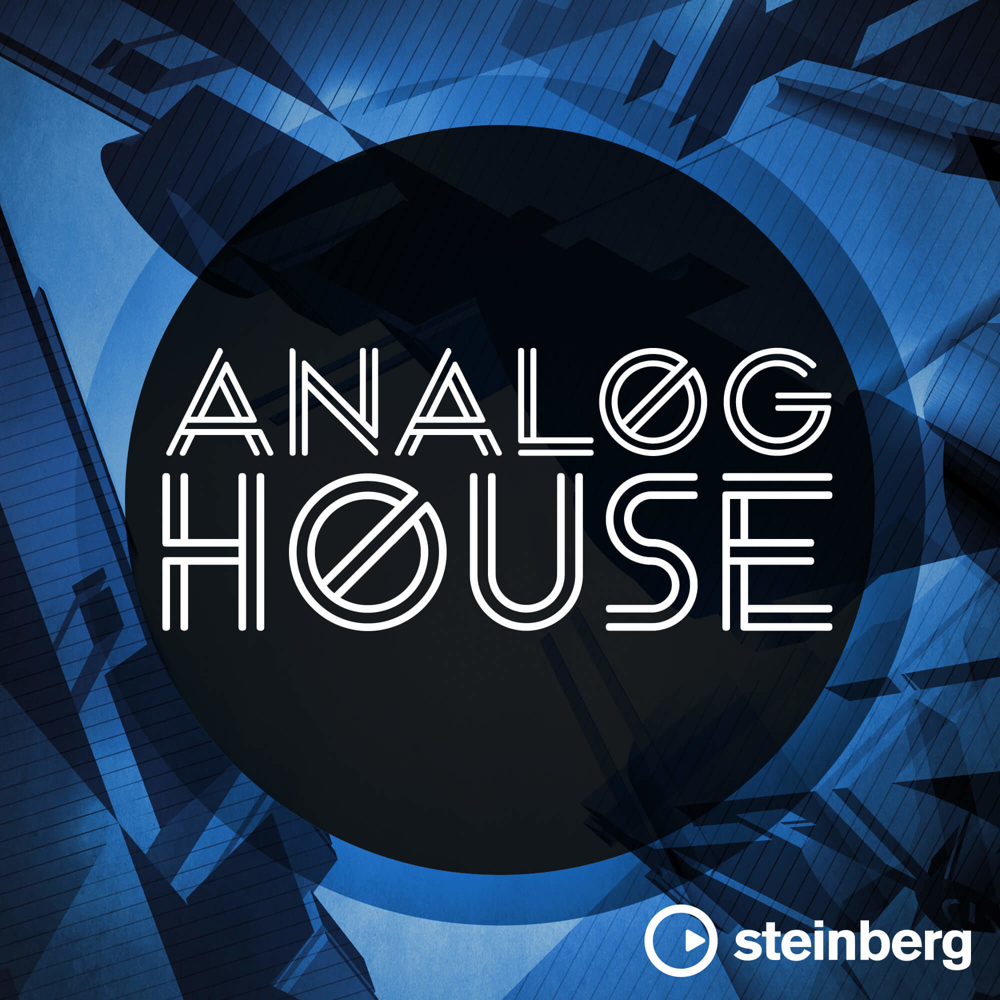 Steinberg Analog House