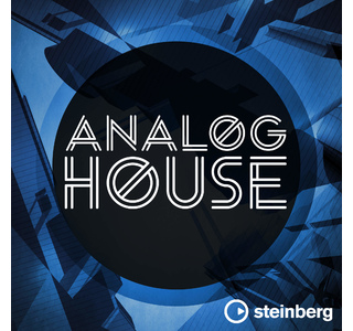Steinberg Analog House изображение/фото/картинка