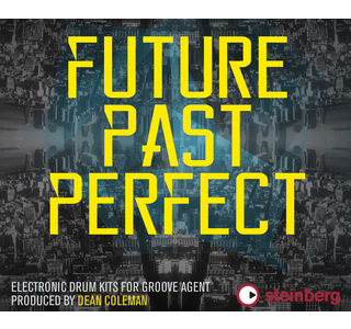 Steinberg Future Past Perfect изображение/фото/картинка