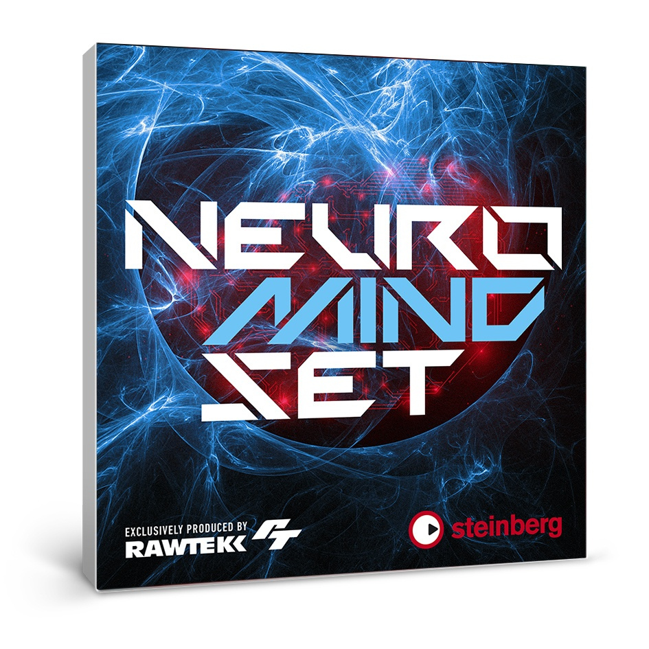 Steinberg Neuro Mindset