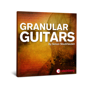 Steinberg Granular Guitars изображение/фото/картинка