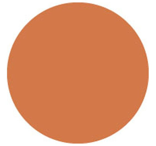 Showtec Colour Sheet 122 x 53 cm 105 Orange изображение/фото/картинка