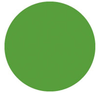 Showtec Colour Roll 122 x 762 cm Fern Green изображение/фото/картинка