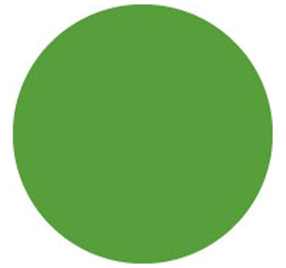 Showtec Colour Sheet 122 x 53 cm 122 Fern Green изображение/фото/картинка
