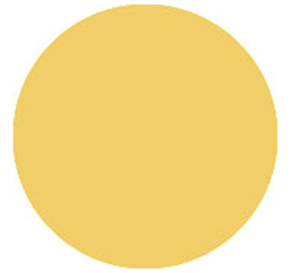 Showtec Colour Sheet 122 x 53 cm 152 Pale Gold изображение/фото/картинка