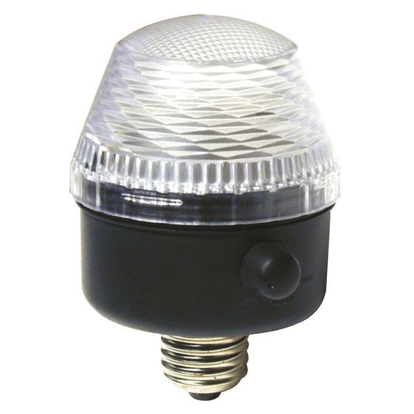 Showtec City Flash